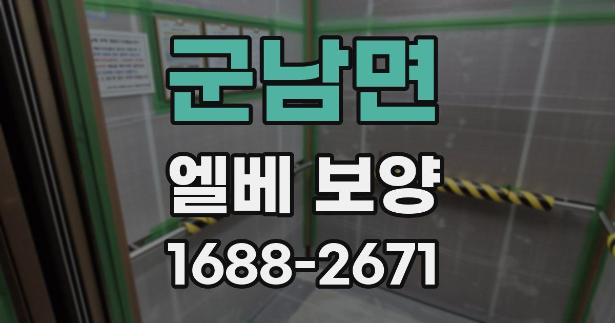 군남면 엘베 보양