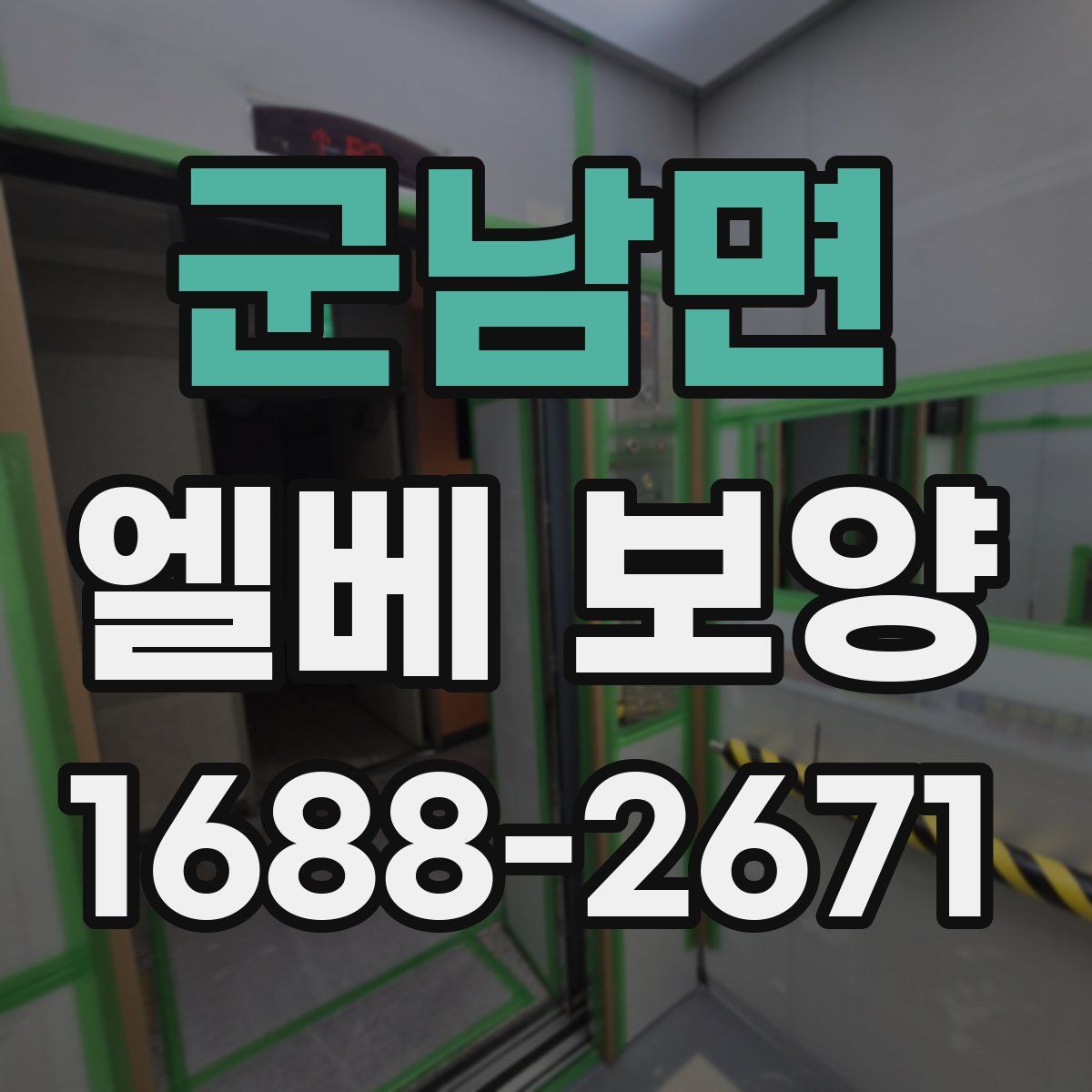 군남면 엘베 보양