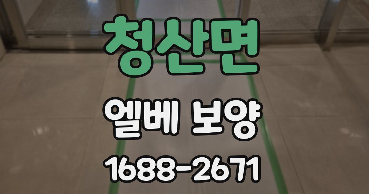 청산면 엘베 보양