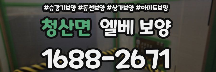 청산면 엘베 보양