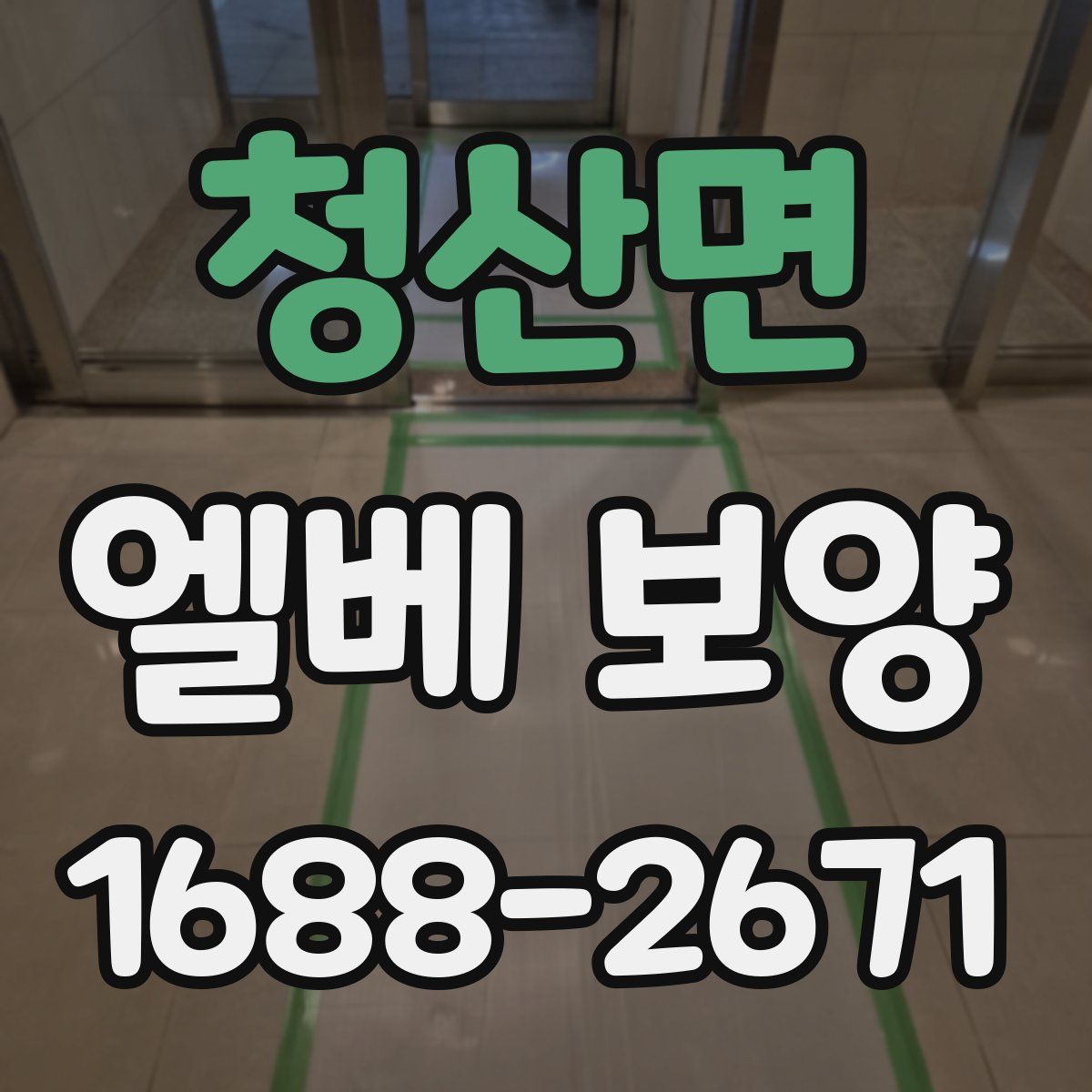 청산면 엘베 보양