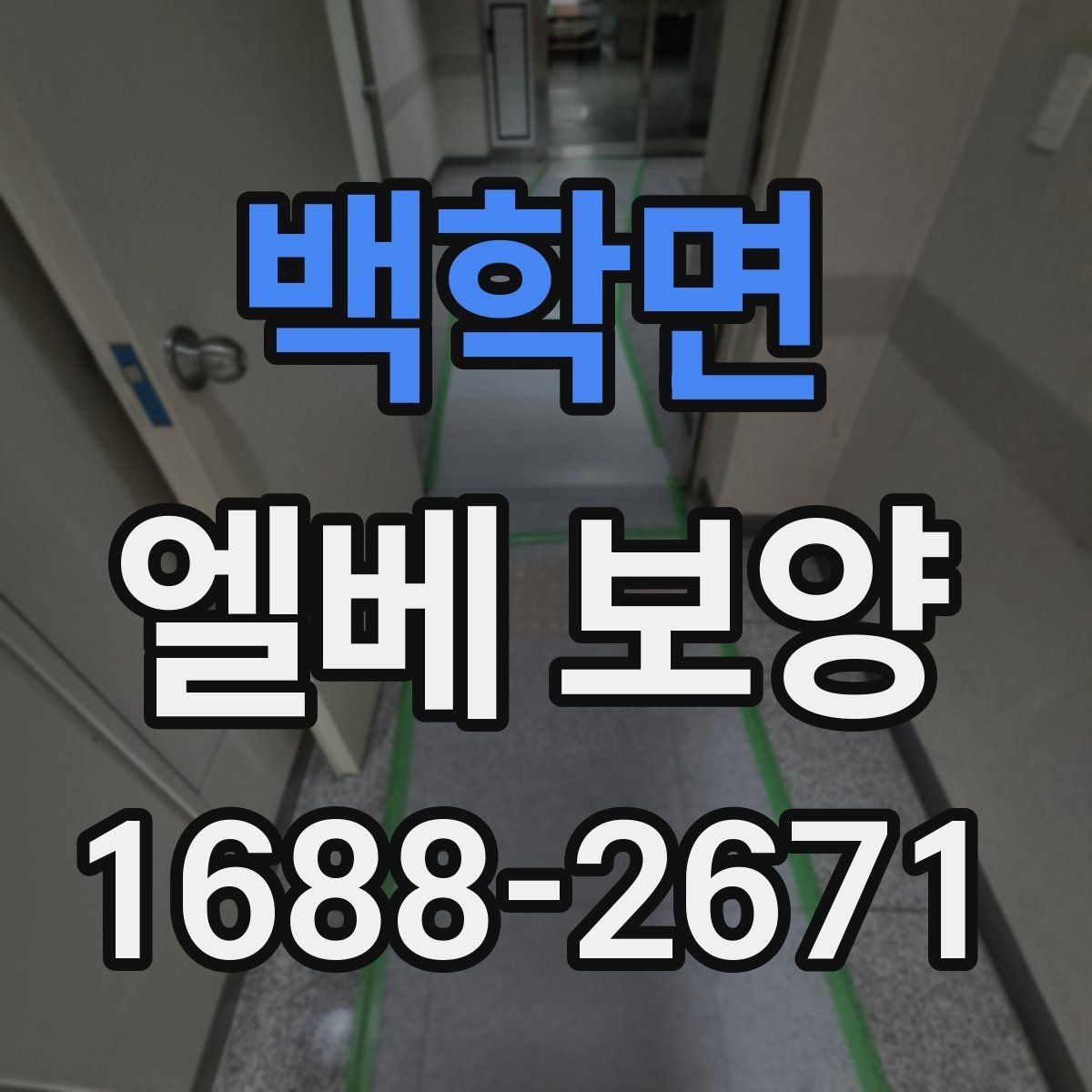 백학면 엘베 보양 출입문 테두리 보호가 중요한 현장