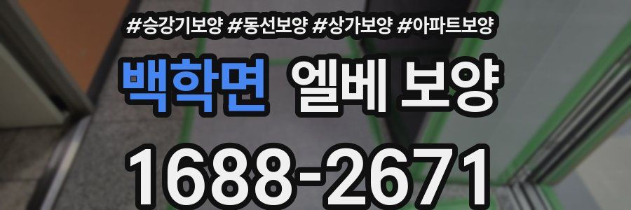 백학면 엘베 보양