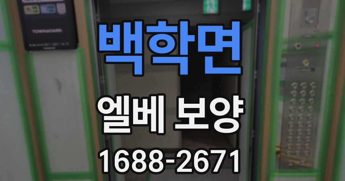 백학면 엘베 보양