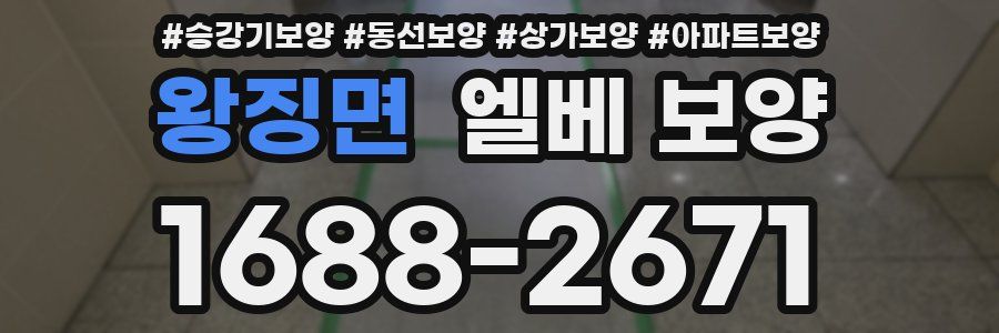 왕징면 엘베 보양