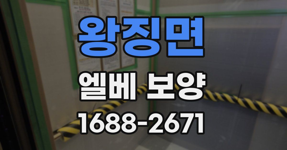 왕징면 엘베 보양