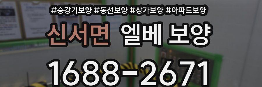 신서면 엘베 보양
