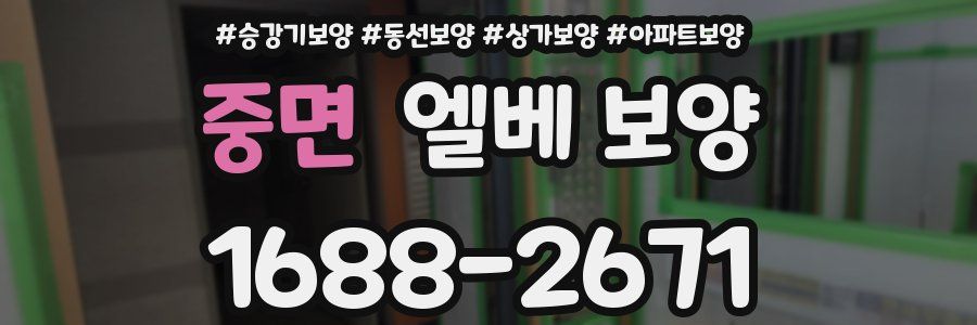 중면 엘베 보양