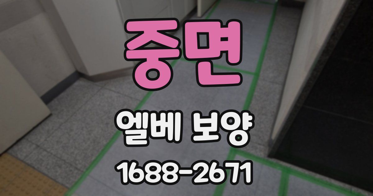중면 엘베 보양