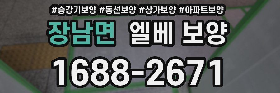 장남면 엘베 보양