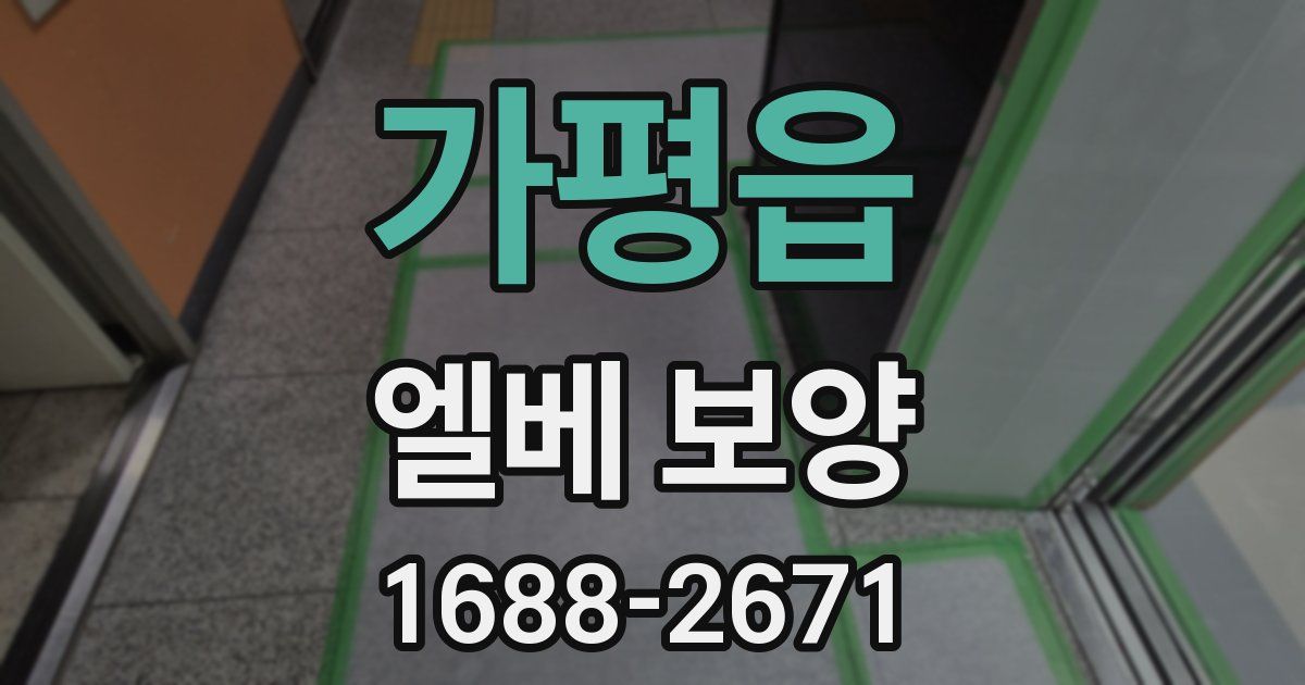 가평읍 엘베 보양