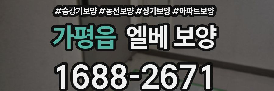 가평읍 엘베 보양