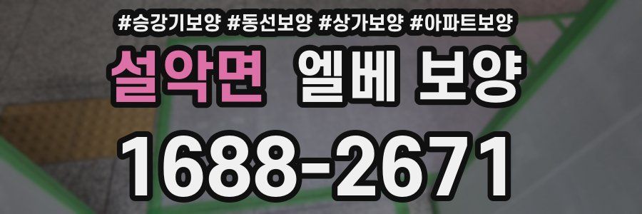 설악면 엘베 보양