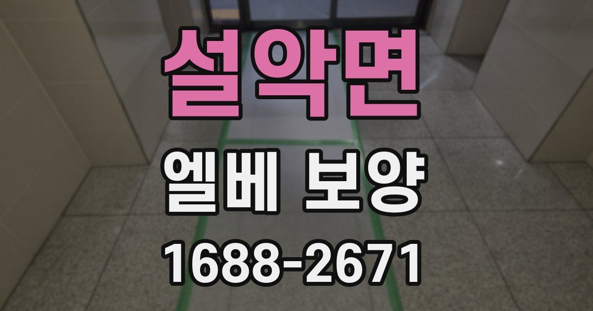 설악면 엘베 보양