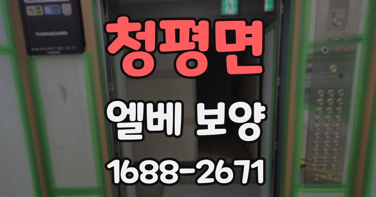 청평면 엘베 보양