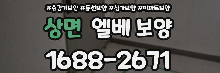 상면 엘베 보양