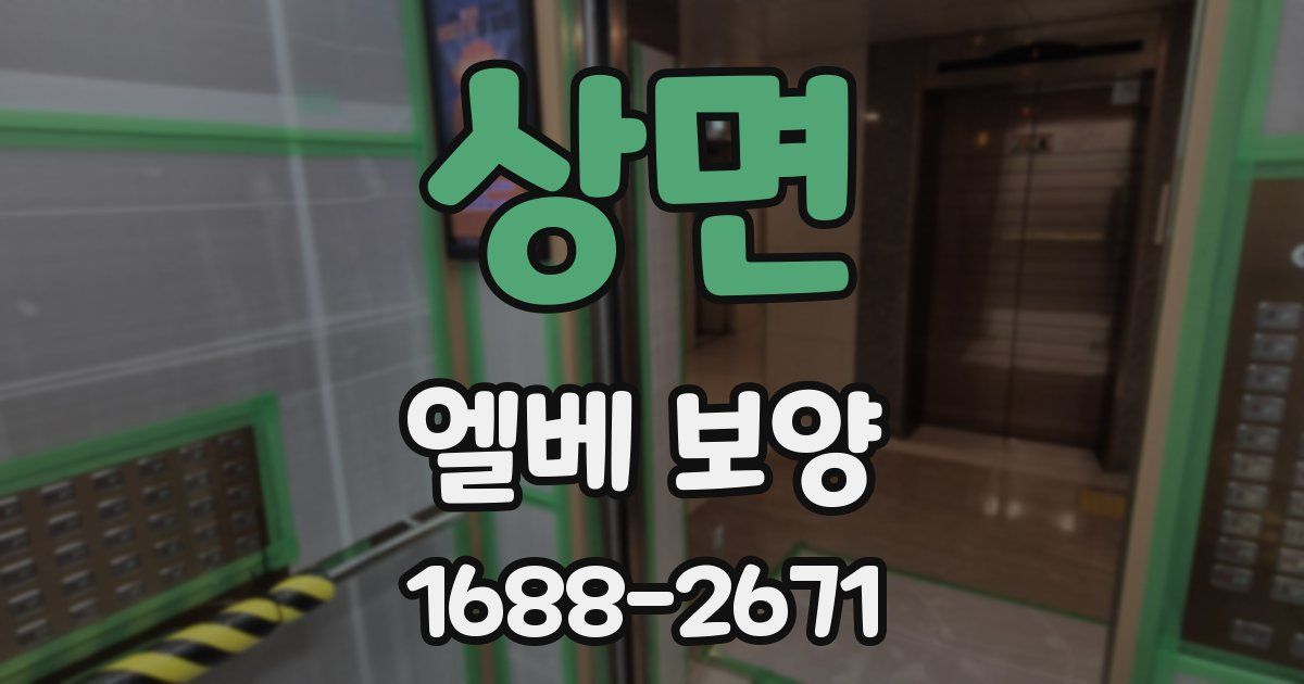 상면 엘베 보양