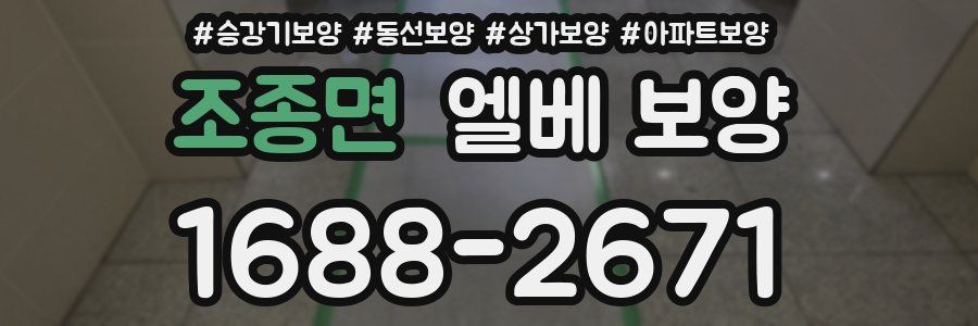 조종면 엘베 보양