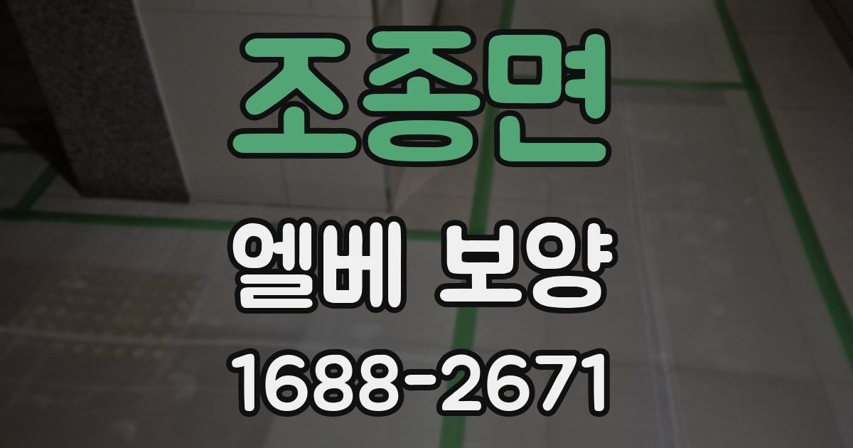 조종면 엘베 보양