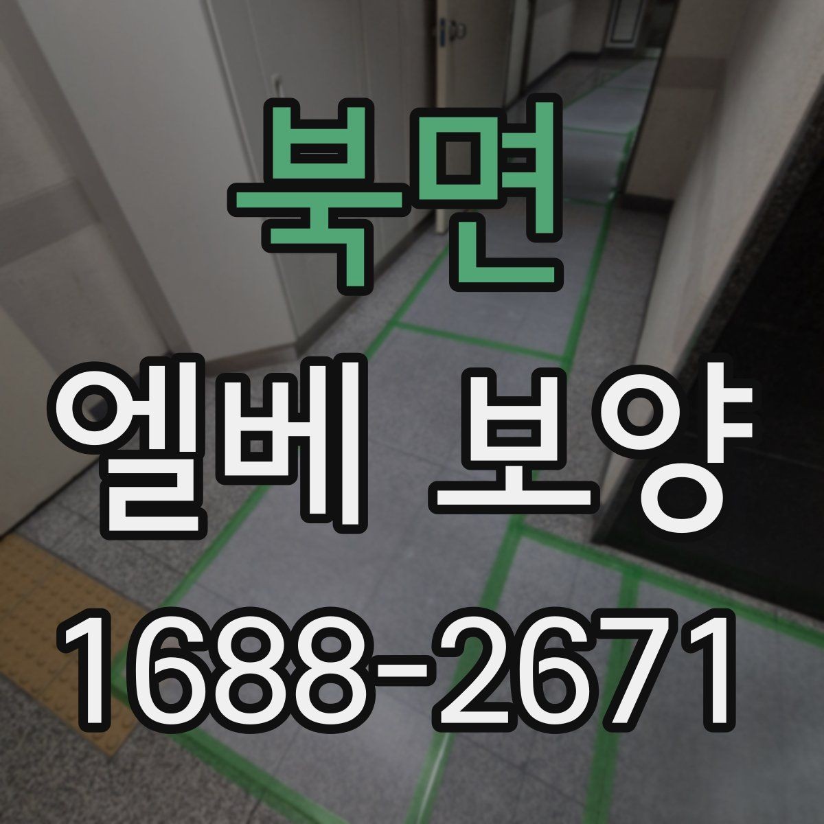 북면 엘베 보양 현장별 촬영 기록으로 남겨야 하는 순간