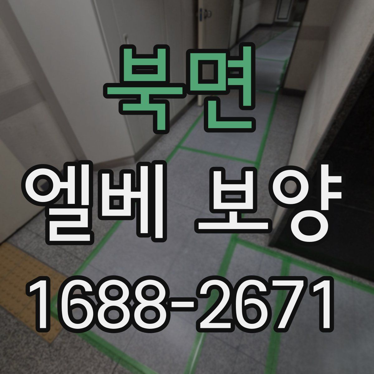 북면 엘베 보양
