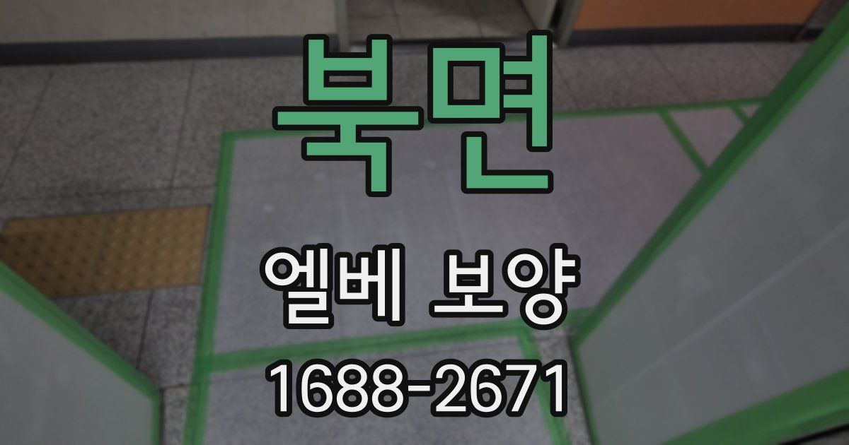북면 엘베 보양