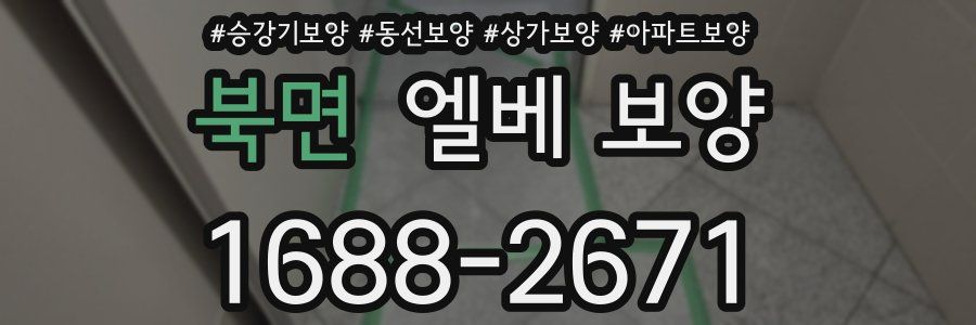 북면 엘베 보양