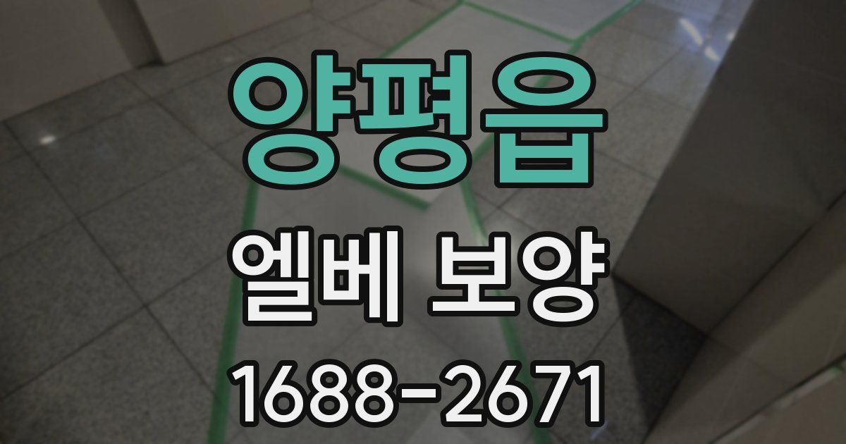 양평읍 엘베 보양