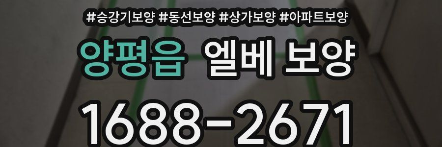 양평읍 엘베 보양