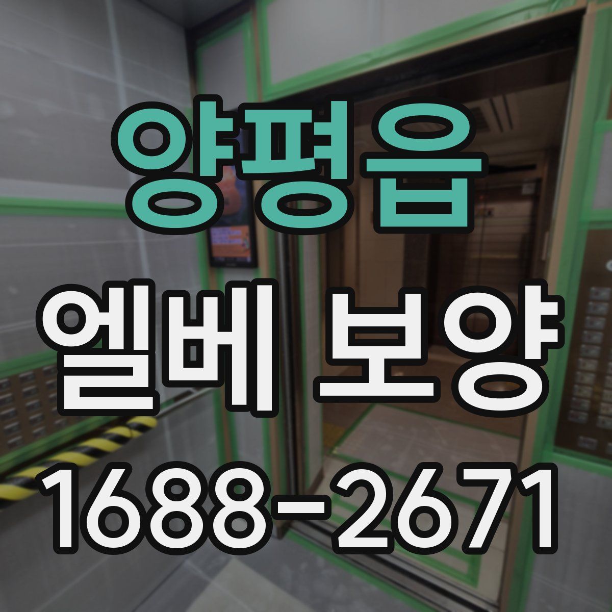 양평읍 엘베 보양