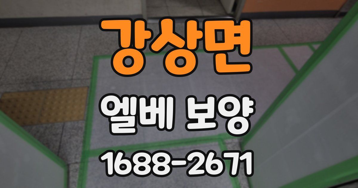 강상면 엘베 보양