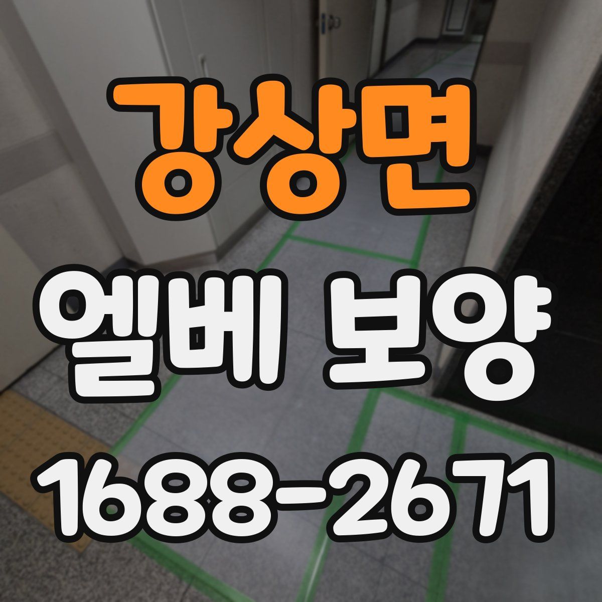 강상면 엘베 보양