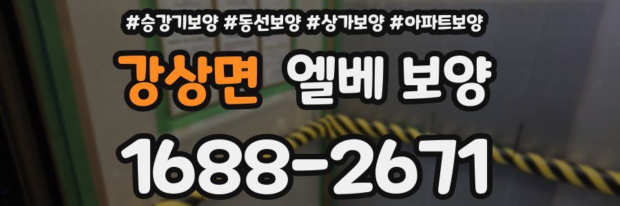 강상면 엘베 보양