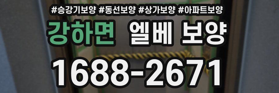 강하면 엘베 보양