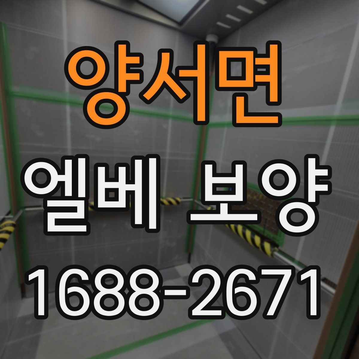양서면 엘베 보양 운반 동선에 맞춰 설계하는 보호 순서