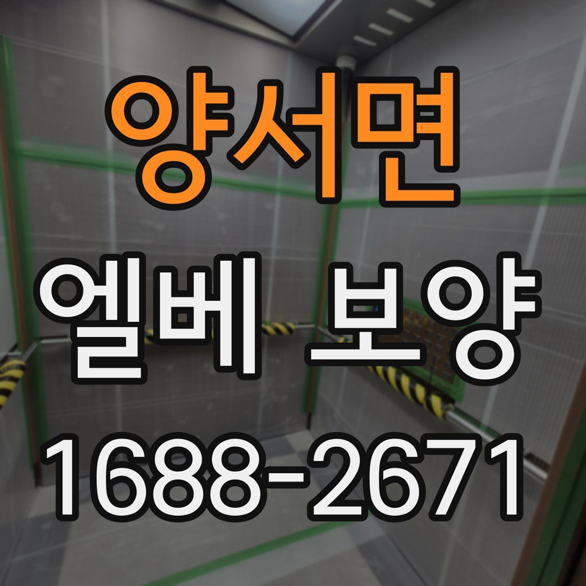 양서면 엘베 보양