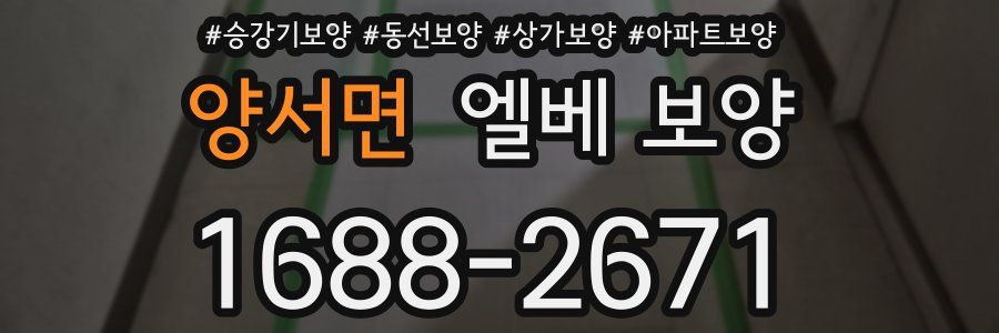 양서면 엘베 보양