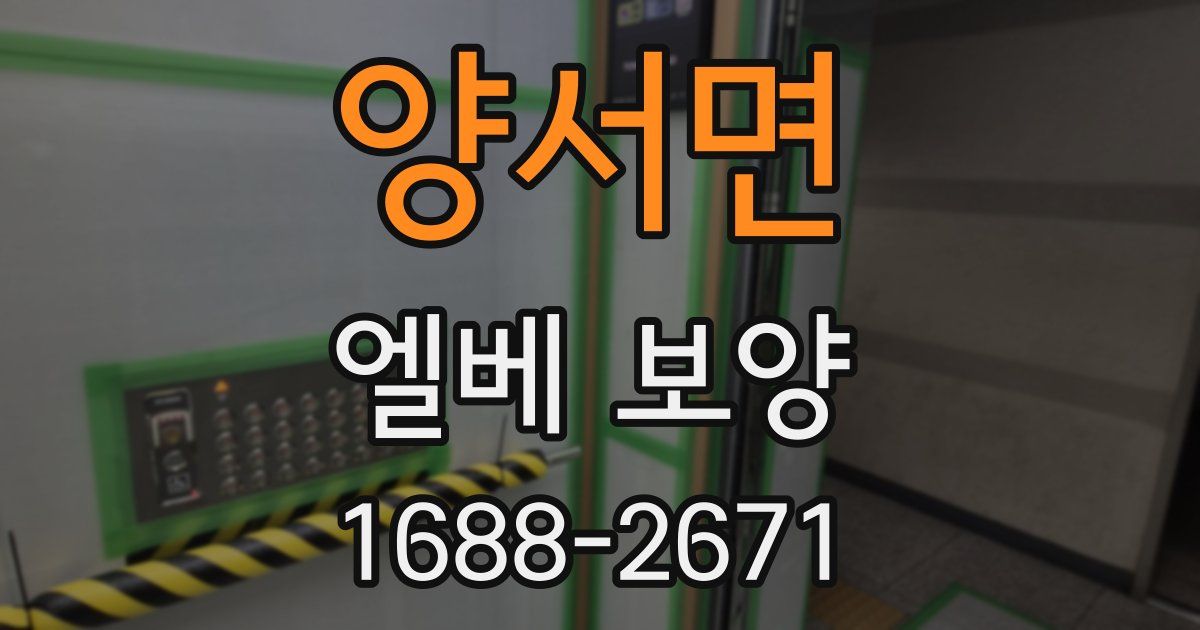 양서면 엘베 보양