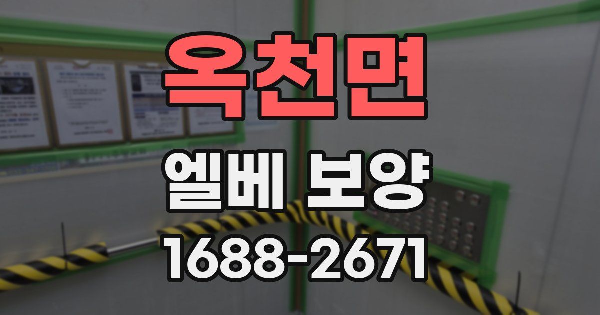 옥천면 엘베 보양