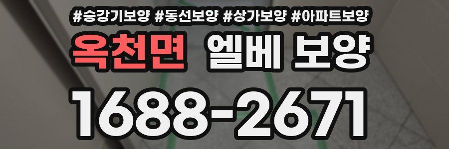 옥천면 엘베 보양
