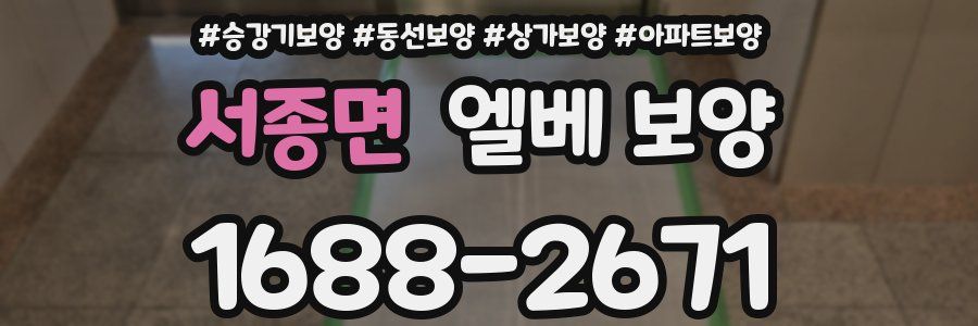 서종면 엘베 보양