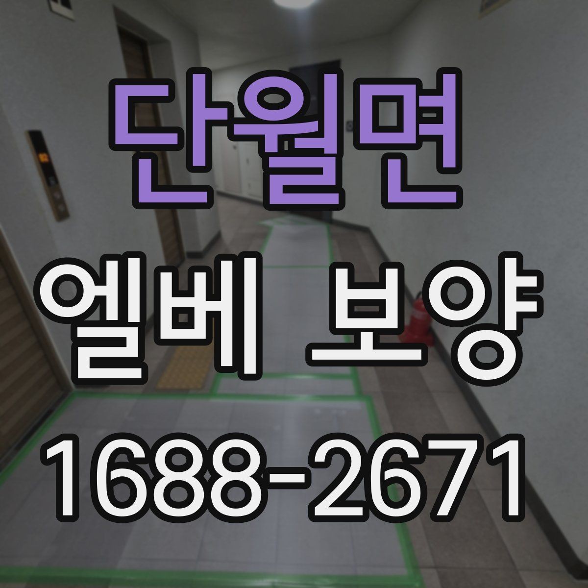 단월면 엘베 보양 장기 공사에서 교체와 보수를 구분하는 기준