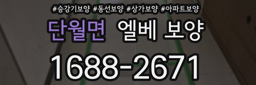 단월면 엘베 보양