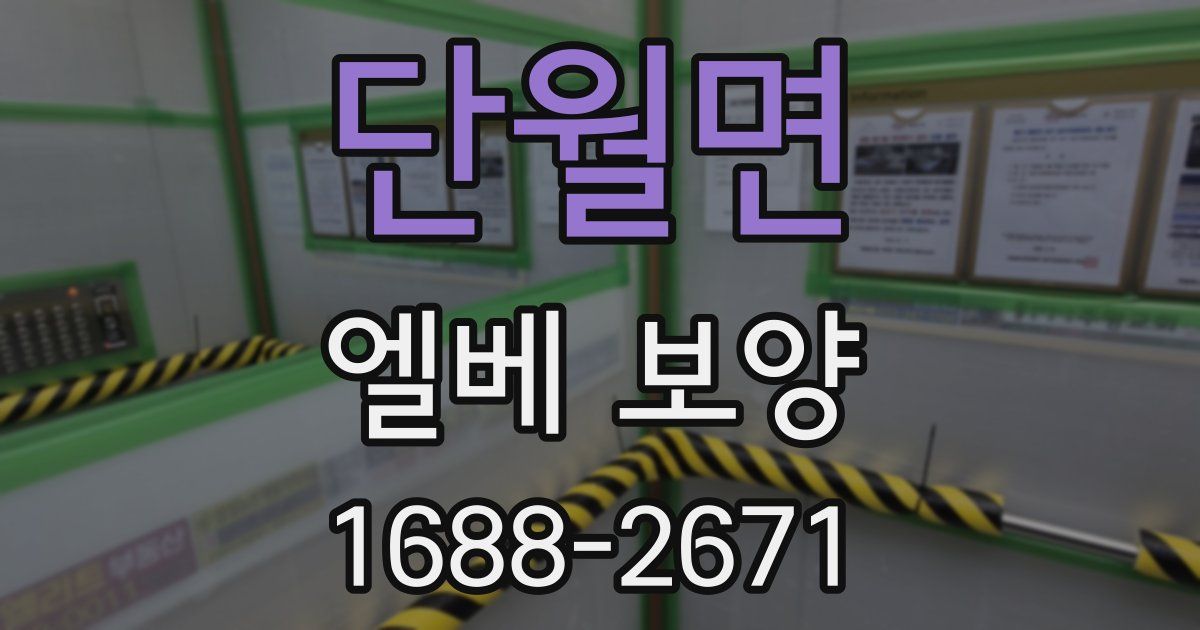 단월면 엘베 보양