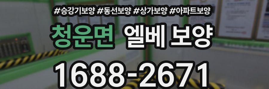 청운면 엘베 보양