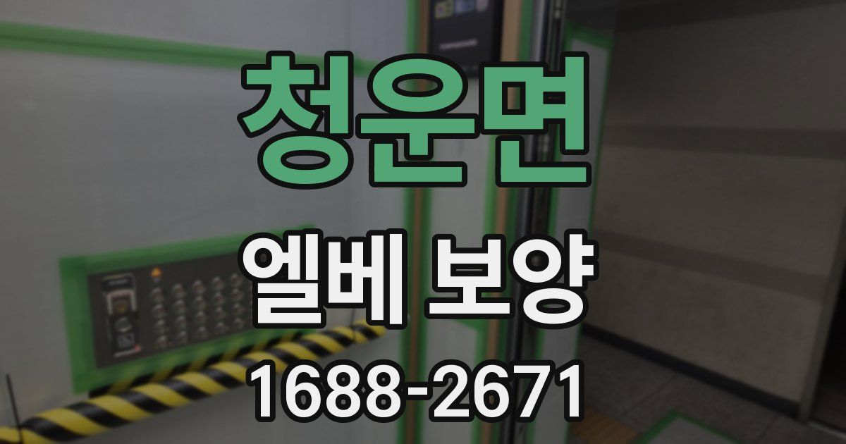 청운면 엘베 보양