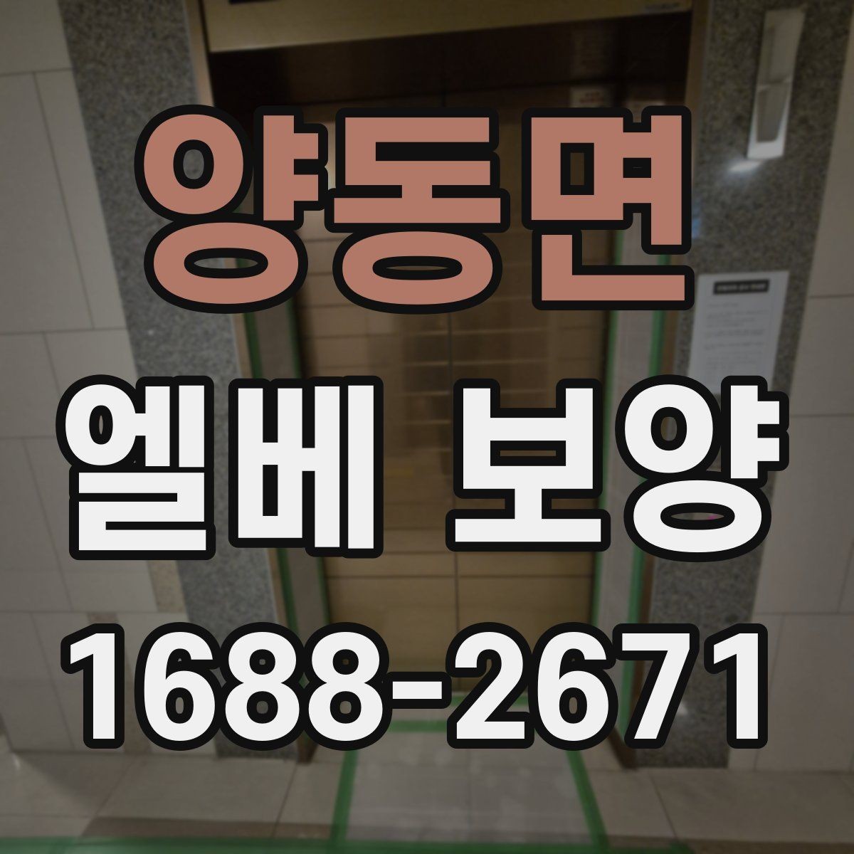 양동면 엘베 보양 장기 공사에서 교체 시기를 판단하는 기준