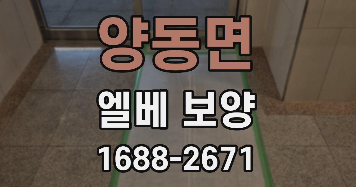 양동면 엘베 보양