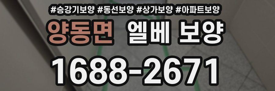 양동면 엘베 보양