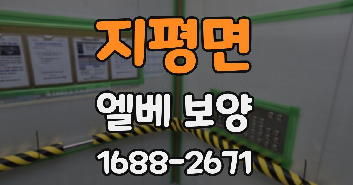 지평면 엘베 보양